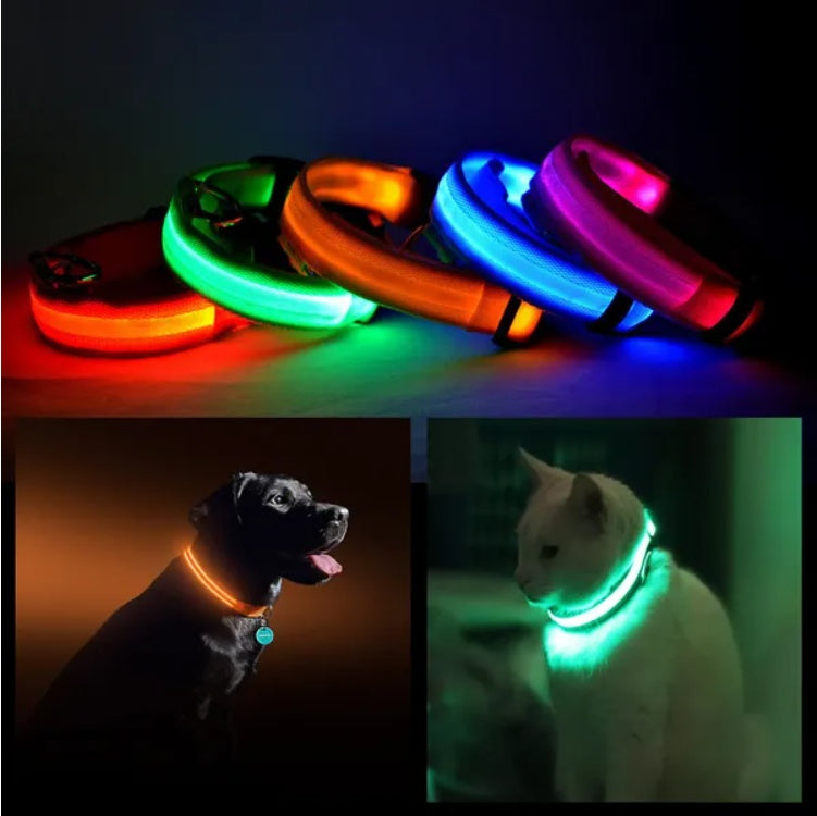 Glow Ring™ LED Halo Safety Collar – all colors