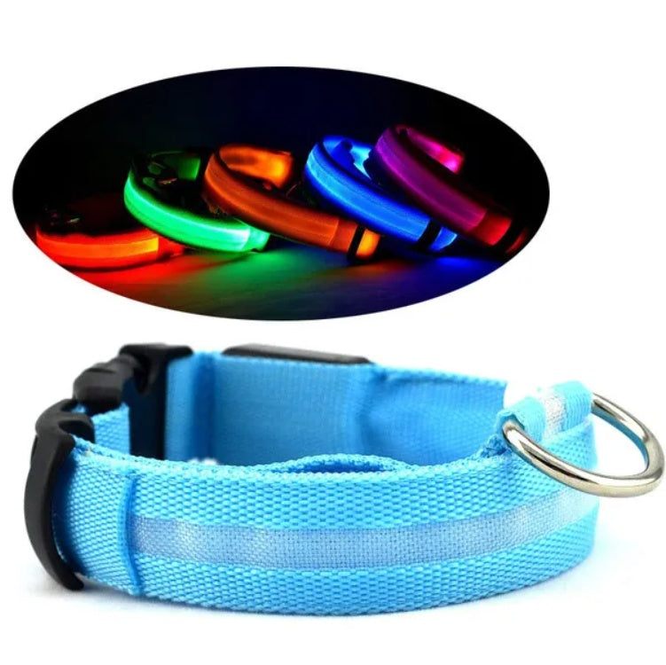 Glow Ring™ LED Halo Safety Collar – photo 2