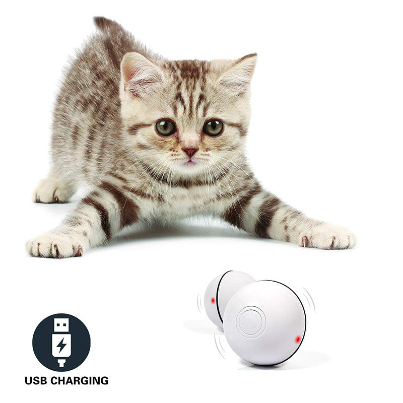 Disco Ball™ LED Rolling Cat Toy Ball – photo 8