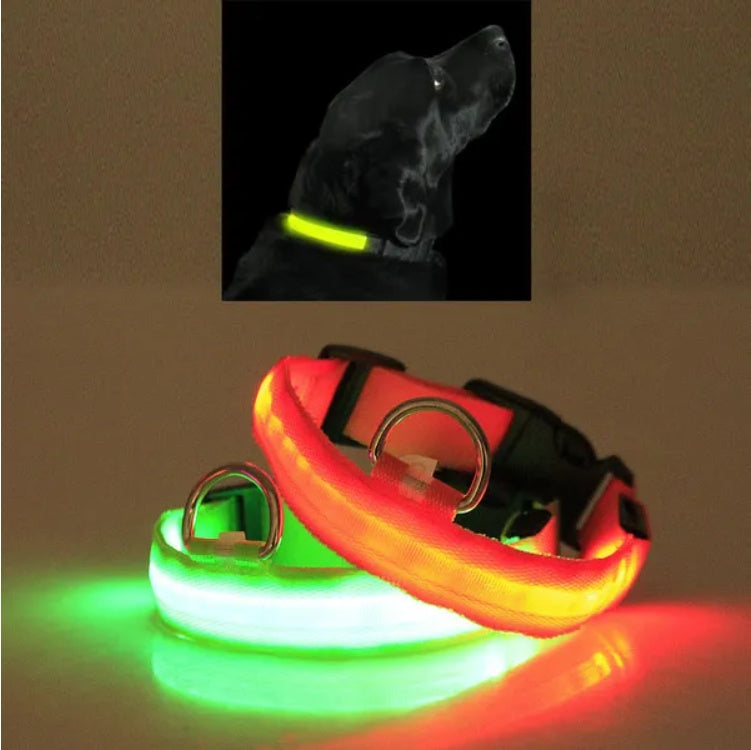 Glow Ring™ LED Halo Safety Collar – photo 5