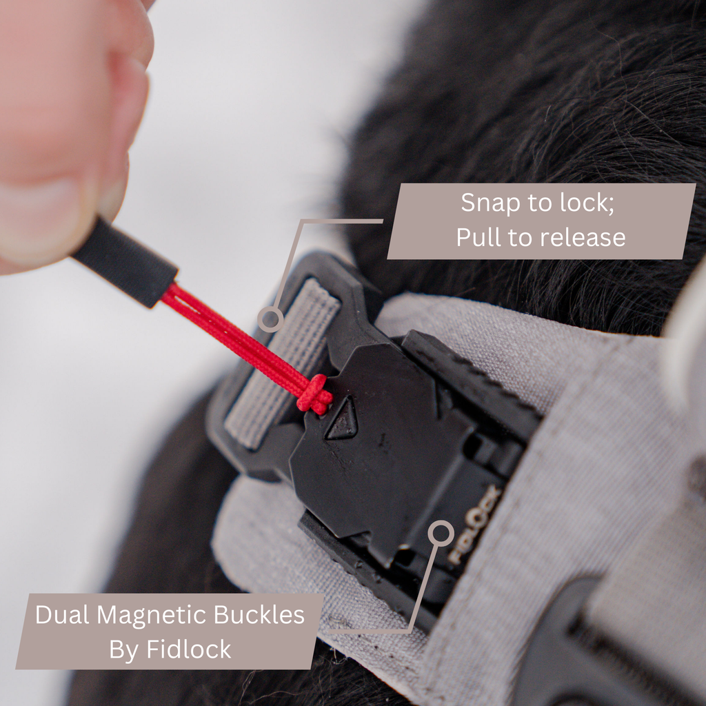 Click & Walk harness features