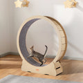 Marathon Cat™ 52" Wooden Cat Exercise Wheel – photo 6