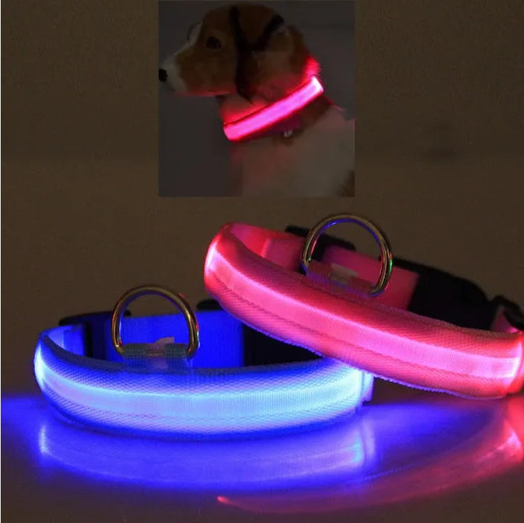 Glow Ring™ LED Halo Safety Collar – photo 3