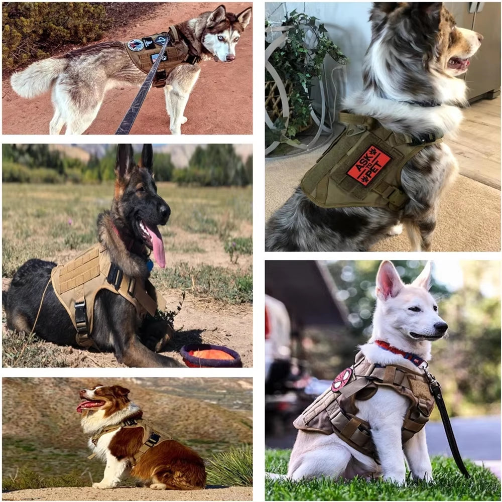 Weekend Warrior™ Tactical Harness & Leash Set – photo 5