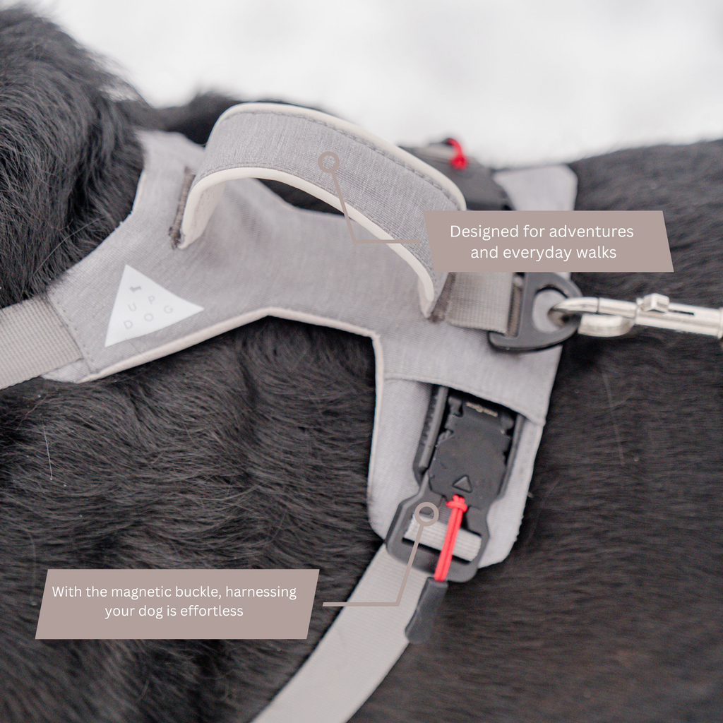 Click & Walk harness details