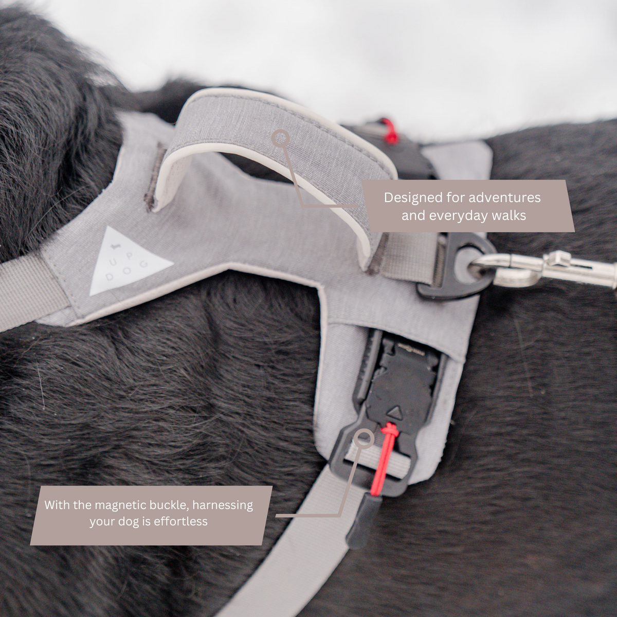 Click & Walk harness details