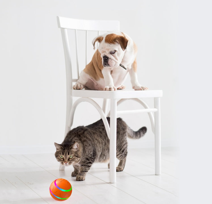 Round & Round™ Smart Self-Rotating Cat Ball – photo 7