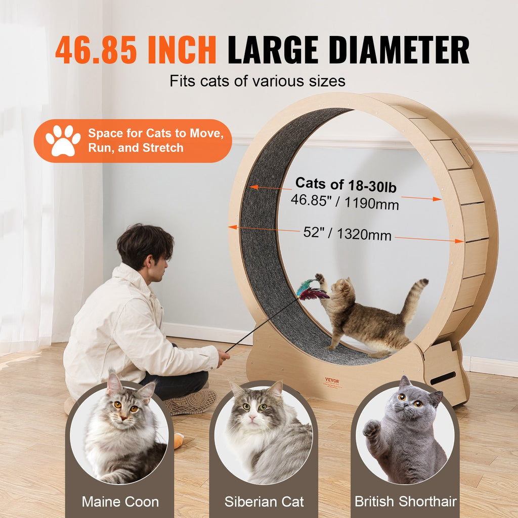 Marathon Cat™ 52" Wooden Cat Exercise Wheel – photo 3
