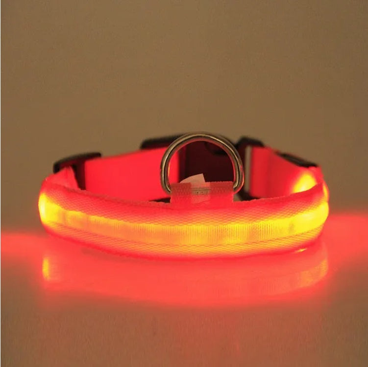 Glow Ring™ LED Halo Safety Collar – photo 4