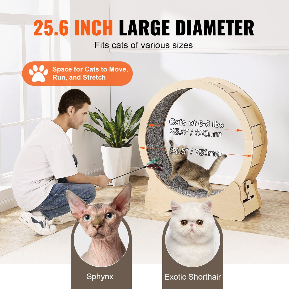 Spin Class™ 30" Cat Exercise Wheel – photo 3