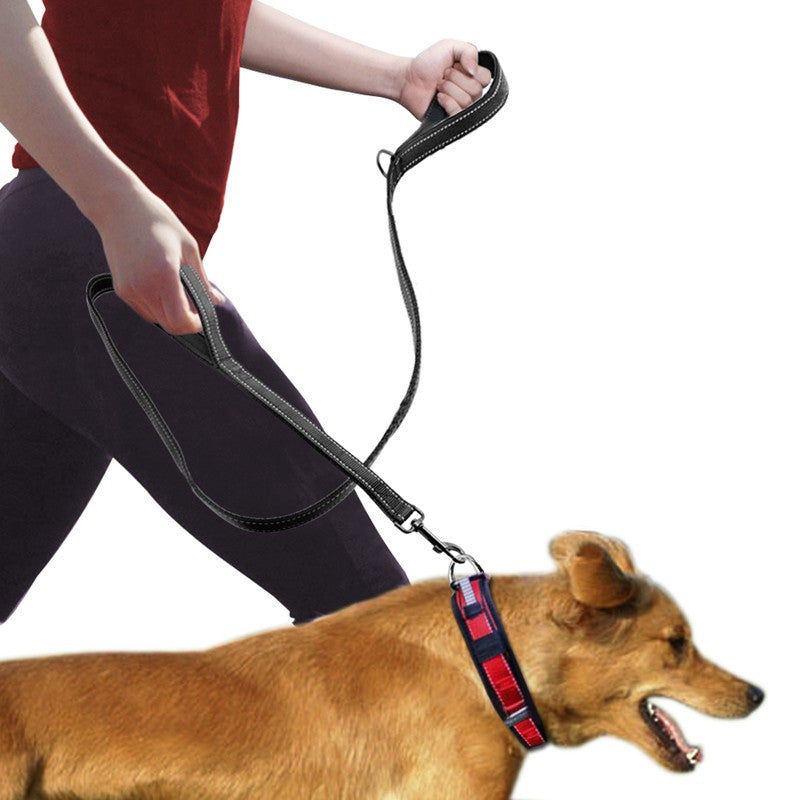 Crosswalk™ Double-Handle Traffic Leash – photo 1