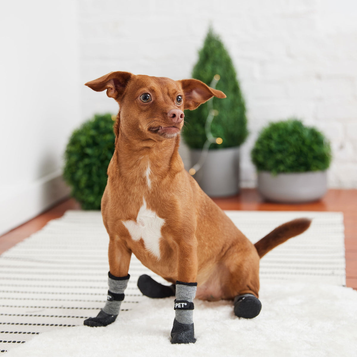 Slush Busters™ GF Pet Waterproof Dog Boots – photo 4