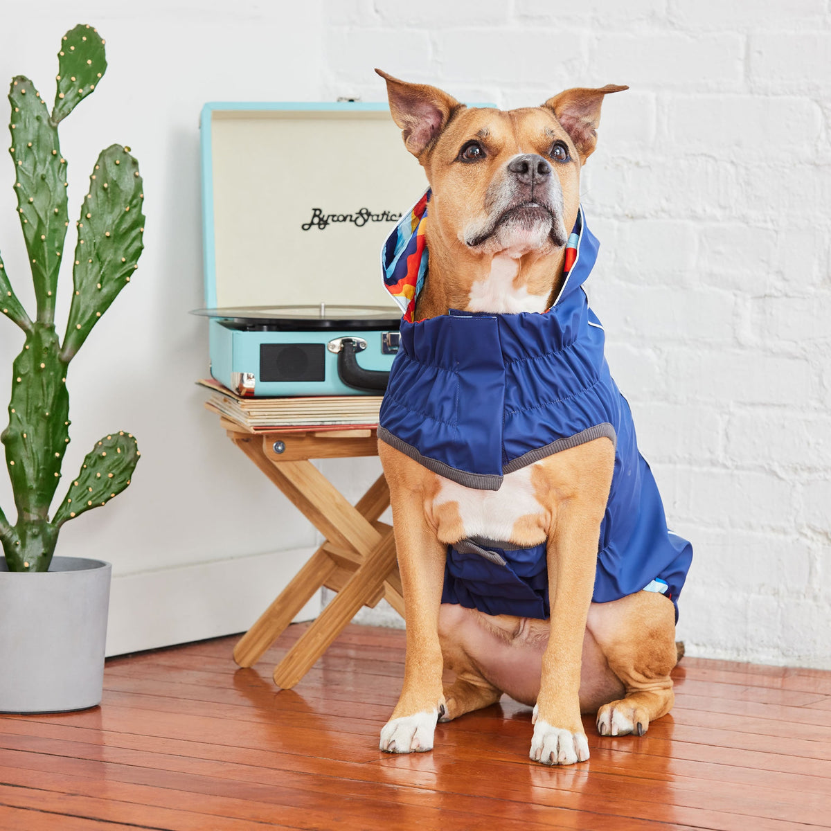 Splash Zone™ GF Pet Reversible Dog Raincoat – Navy