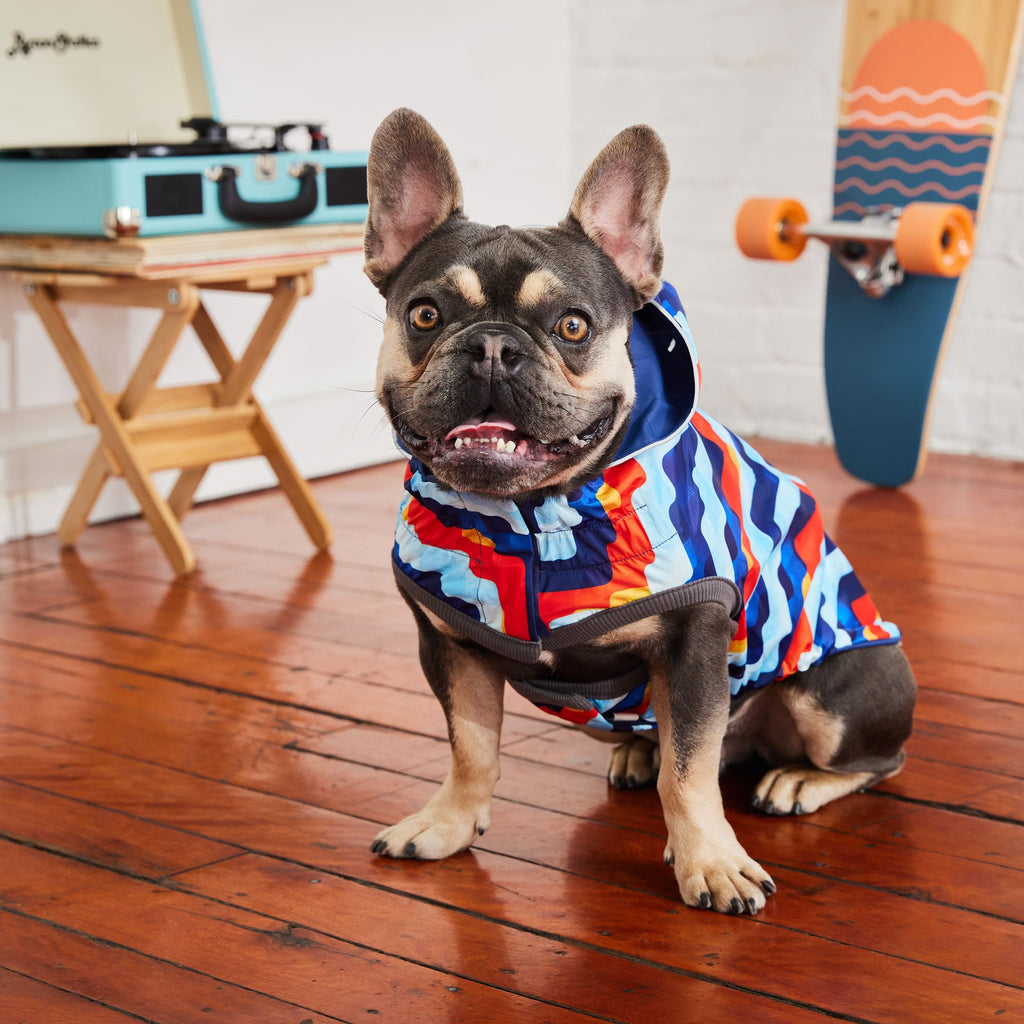 Splash Zone™ GF Pet Reversible Dog Raincoat – Navy