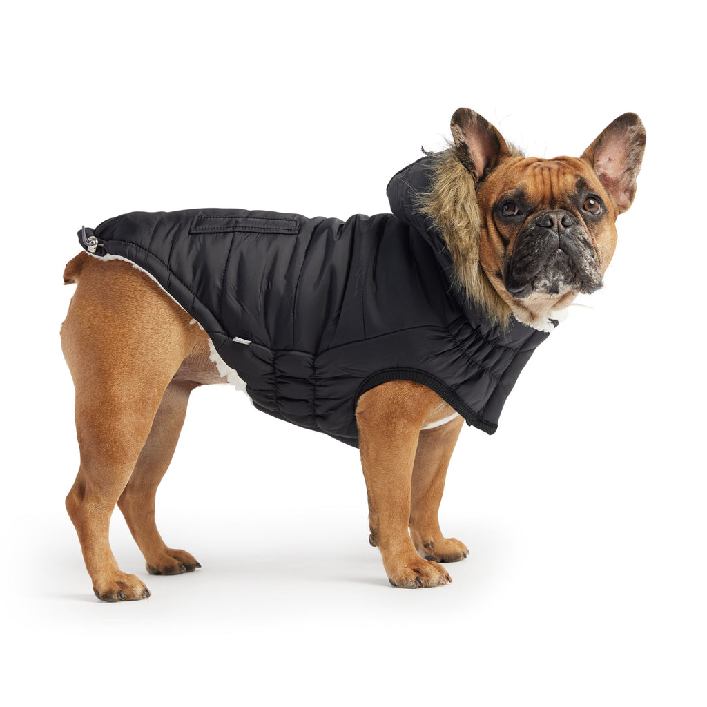 Snow Day™ GF Pet Insulated Dog Parka – Black – photo 2