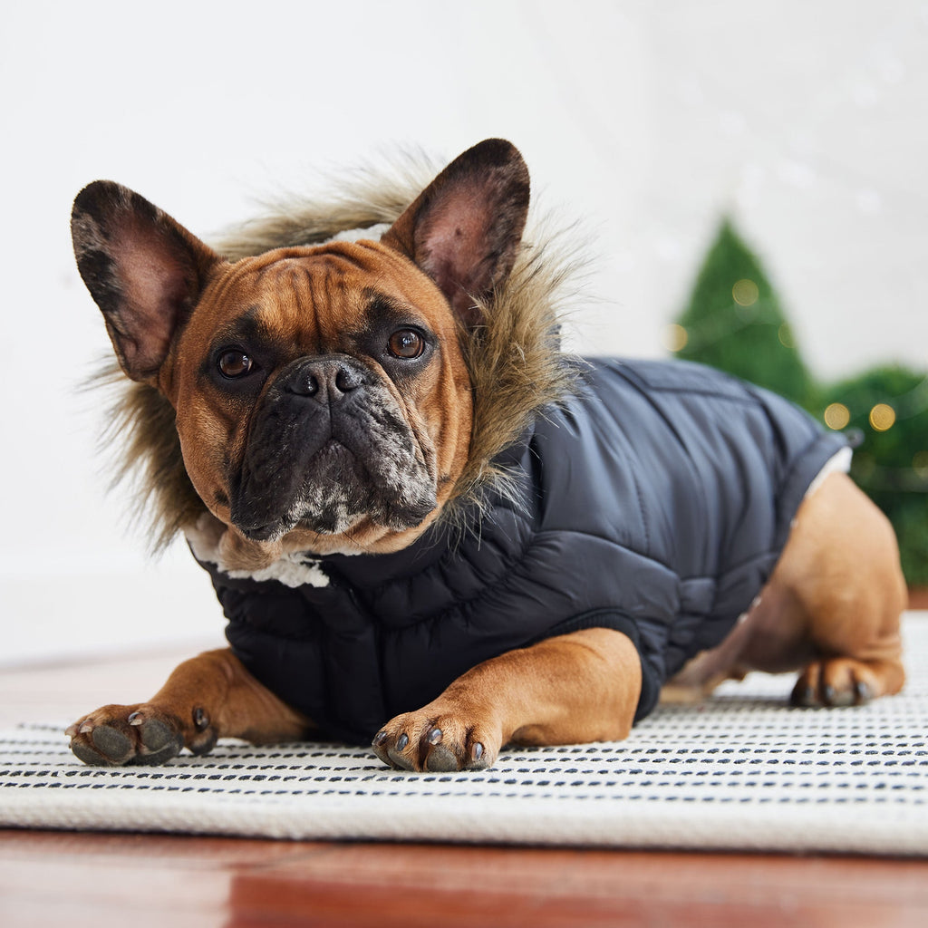 Snow Day™ GF Pet Insulated Dog Parka – Black – photo 4