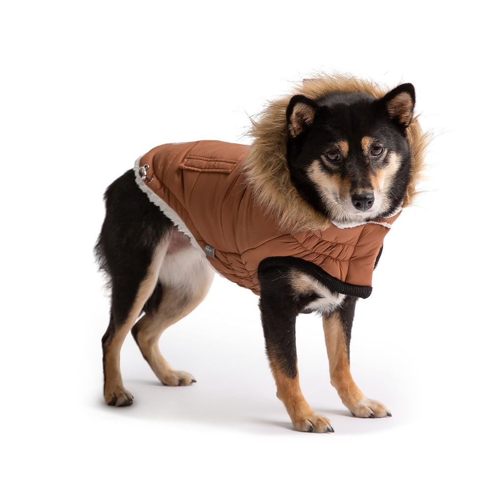 Snow Day™ GF Pet Insulated Dog Parka – Caramel – photo 2