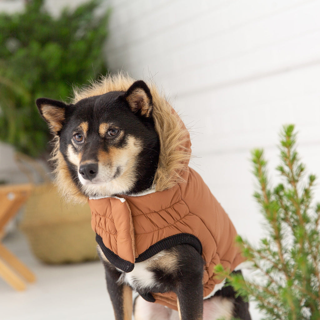 Snow Day™ GF Pet Insulated Dog Parka – Caramel – photo 5