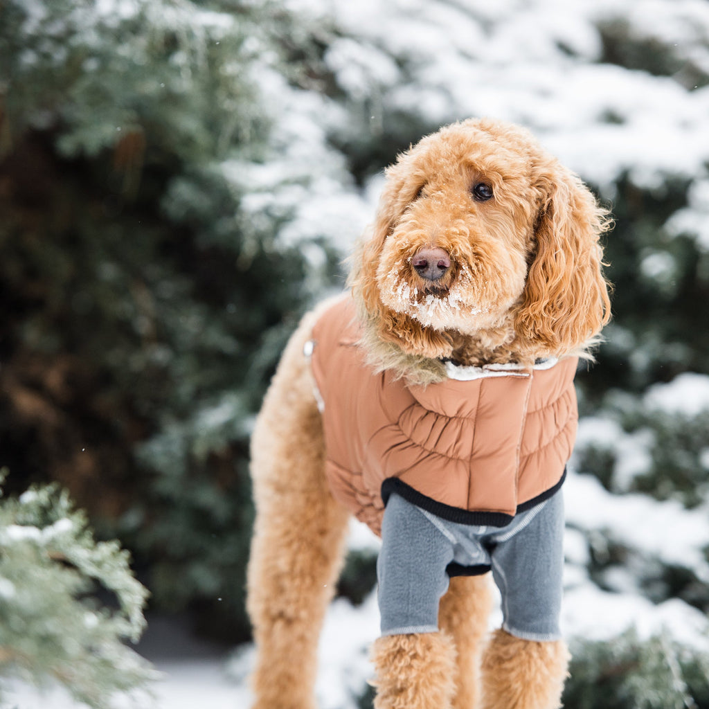 Snow Day™ GF Pet Insulated Dog Parka – Caramel – photo 4