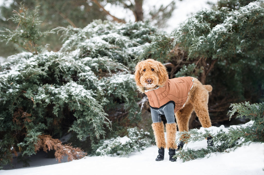 Snow Day™ GF Pet Insulated Dog Parka – Caramel – photo 6