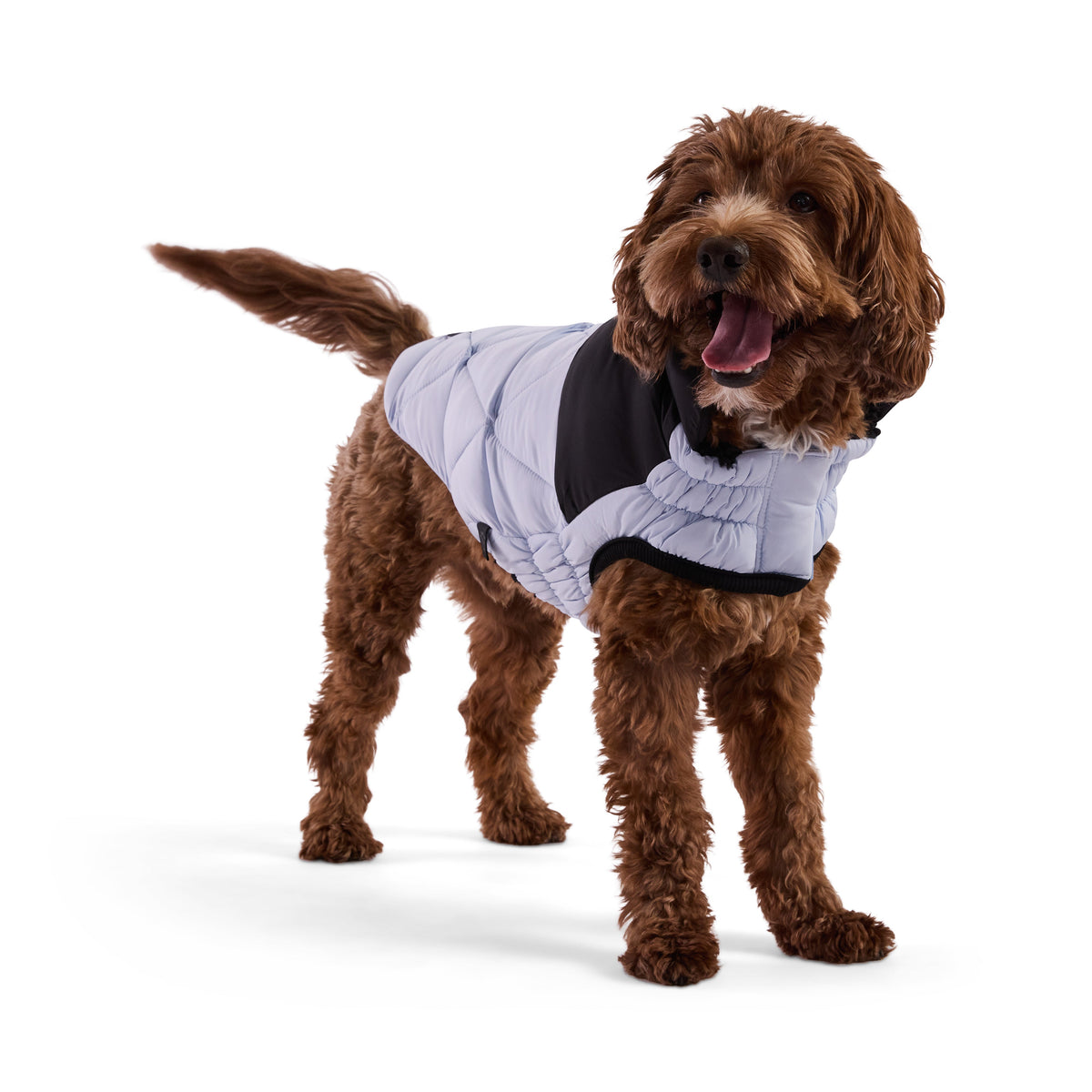 Puffy Pup™ GF Pet Diamond Quilted Dog Puffer – Deep-Sea