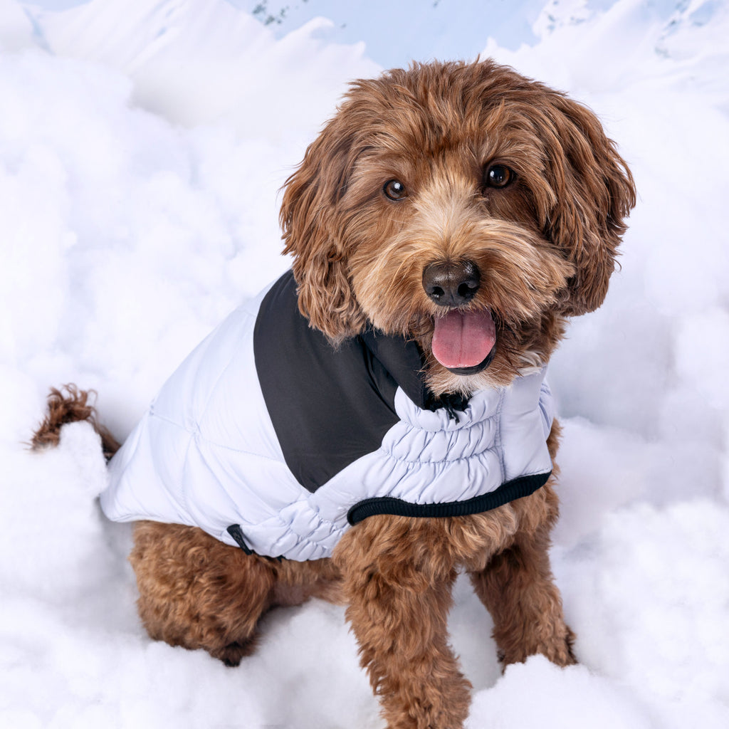 Puffy Pup™ GF Pet Diamond Quilted Dog Puffer – Deep-Sea