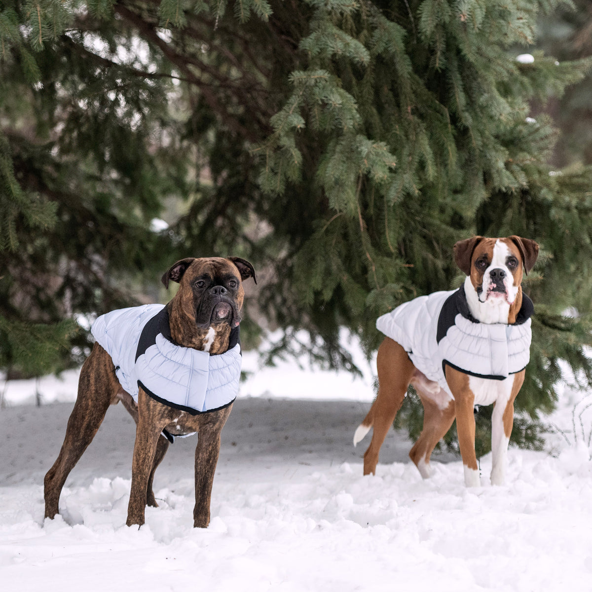 Puffy Pup™ GF Pet Diamond Quilted Dog Puffer – Deep-Sea