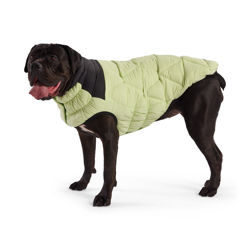 Puffy Pup™ GF Pet Diamond Quilted Dog Puffer – Sage