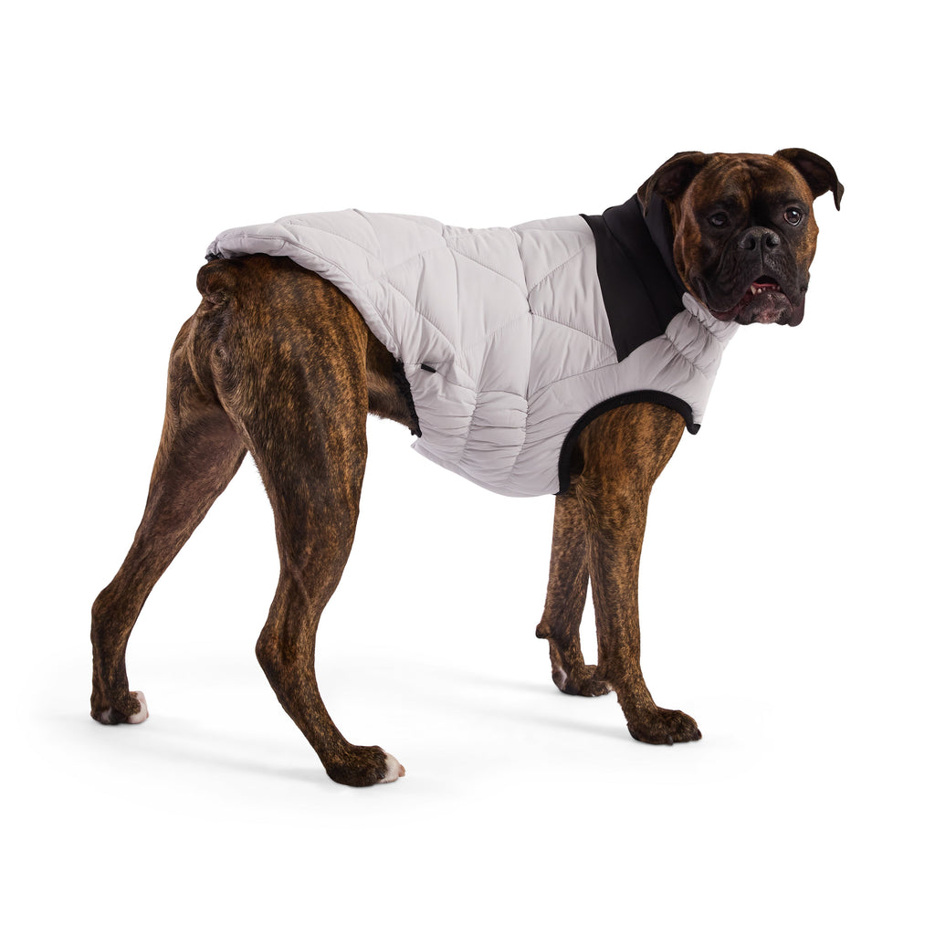 Puffy Pup™ GF Pet Diamond Quilted Dog Puffer – Ash