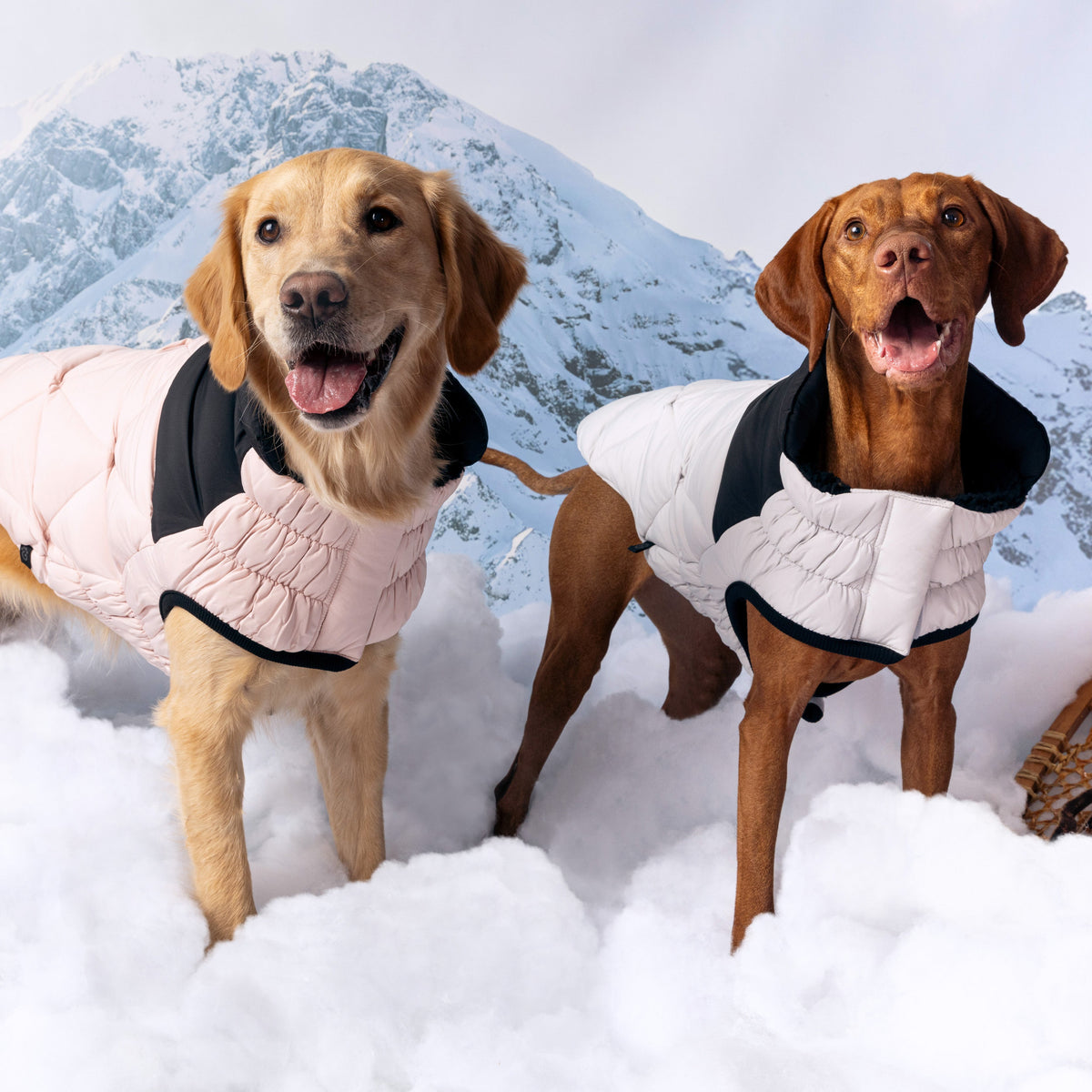 Puffy Pup™ GF Pet Diamond Quilted Dog Puffer – Ash