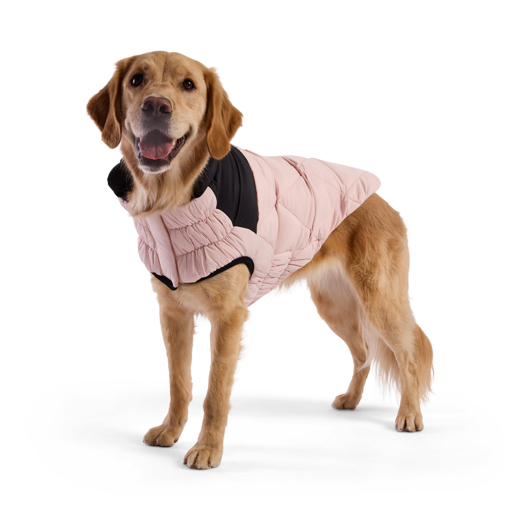 Puffy Pup™ GF Pet Diamond Quilted Dog Puffer – Blush