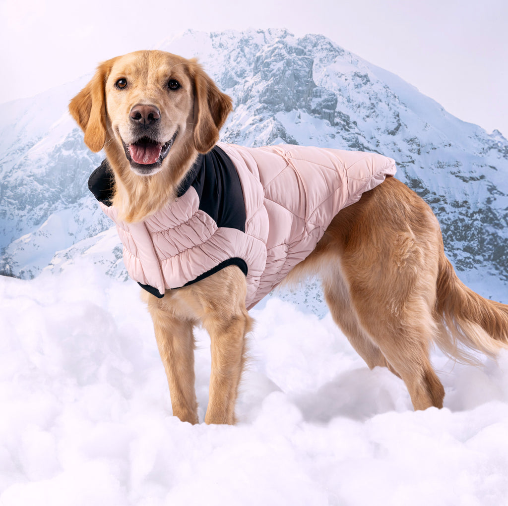 Puffy Pup™ GF Pet Diamond Quilted Dog Puffer – Blush