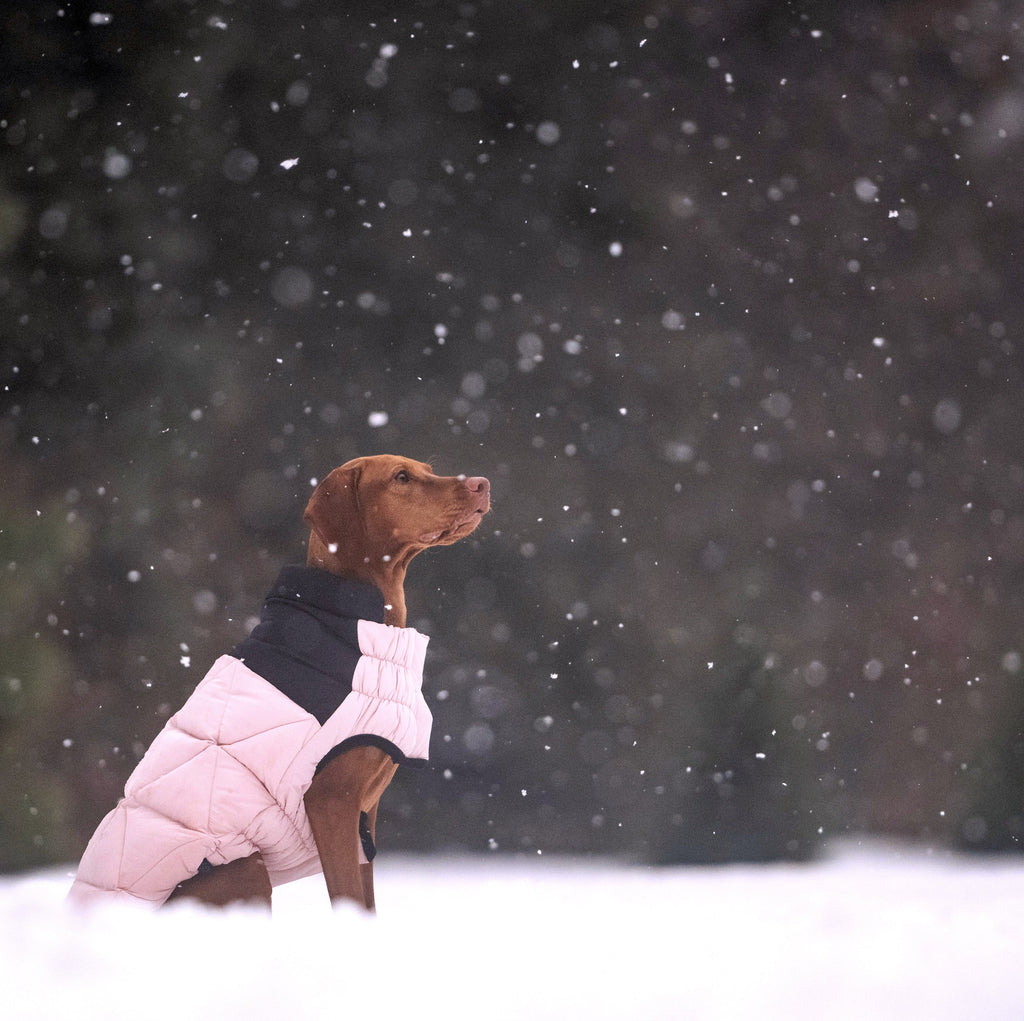 Puffy Pup™ | GF Pet Diamond Quilted Dog Puffer Jacket