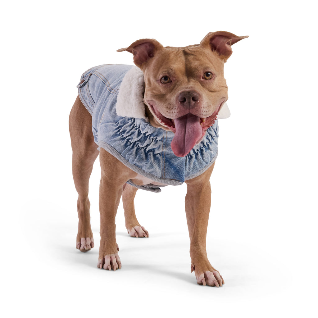 The Brooklyn™ GF Pet Sherpa-Collar Denim Dog Jacket – photo 4