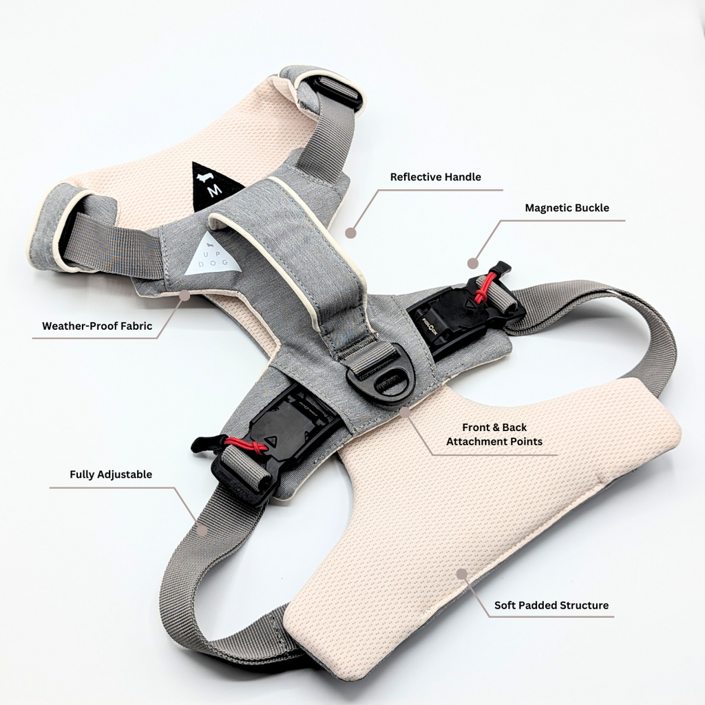 Click & Walk harness feature callouts
