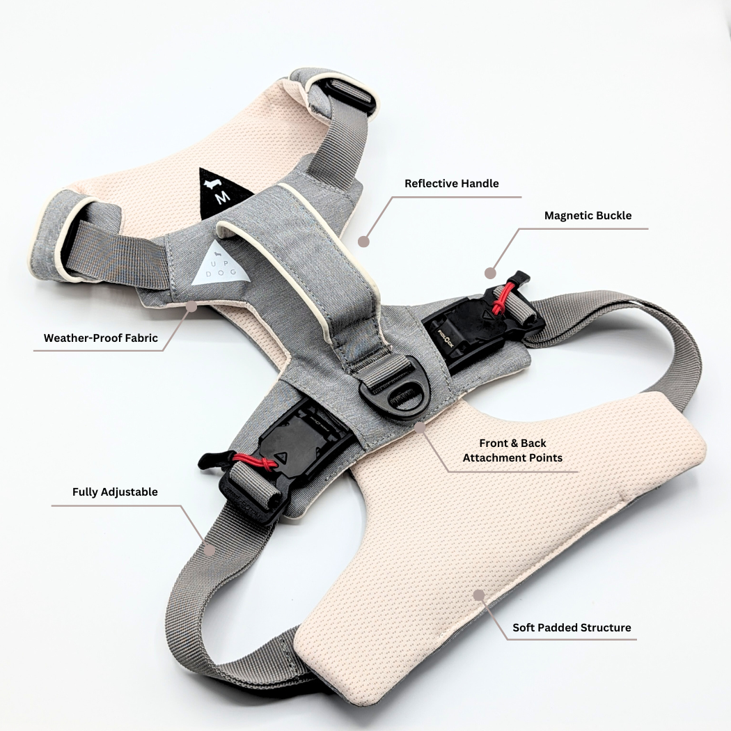 Click & Walk harness feature callouts
