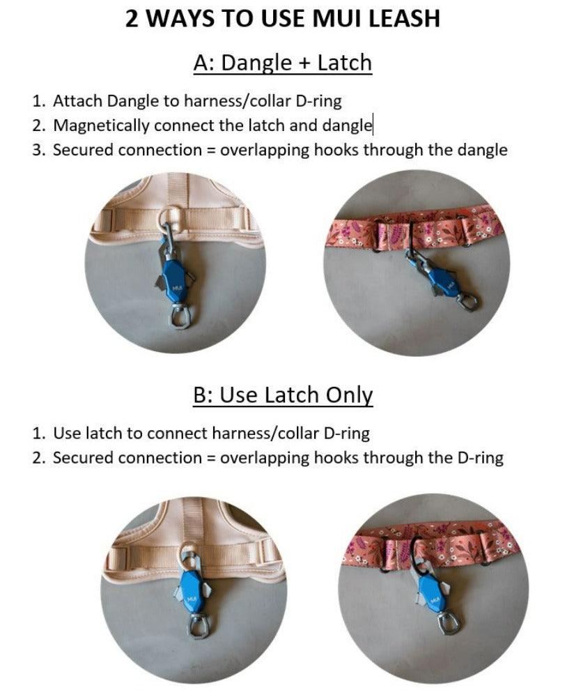 How to use the Click & Walk magnetic leash