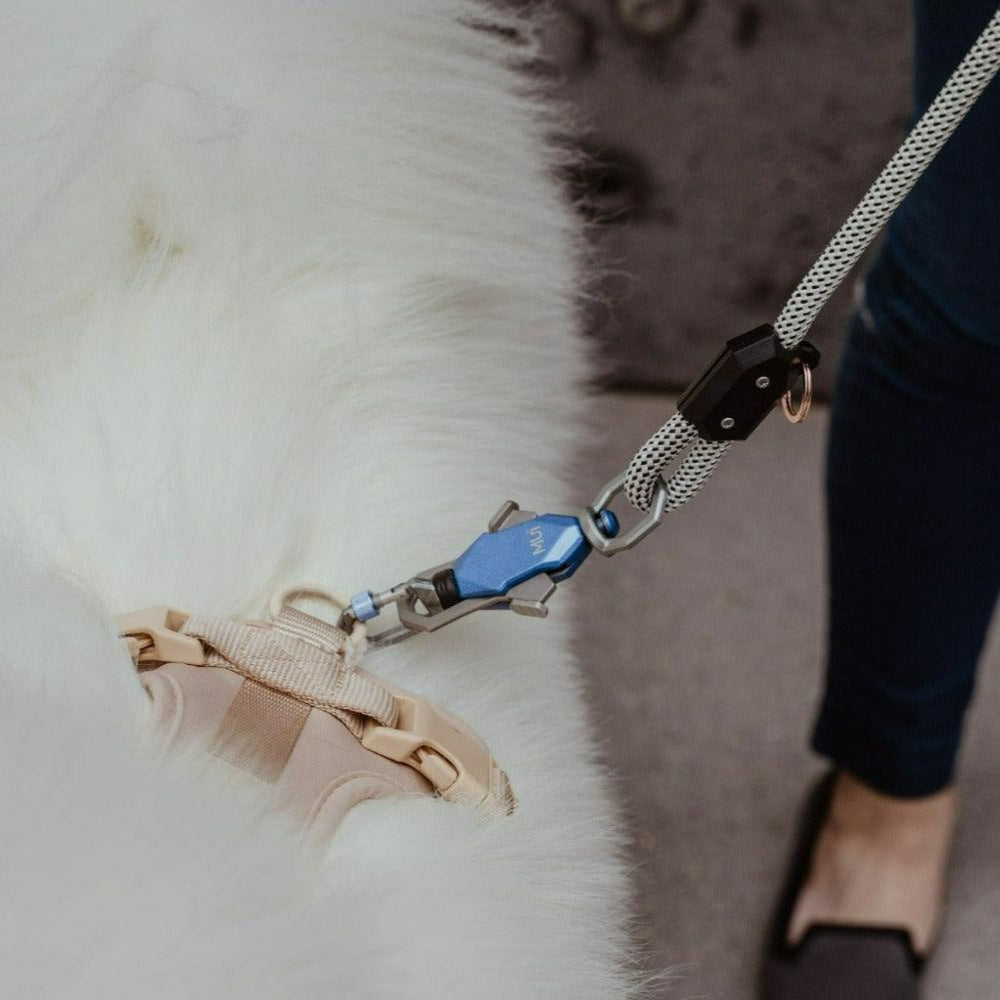 Click & Walk leash features