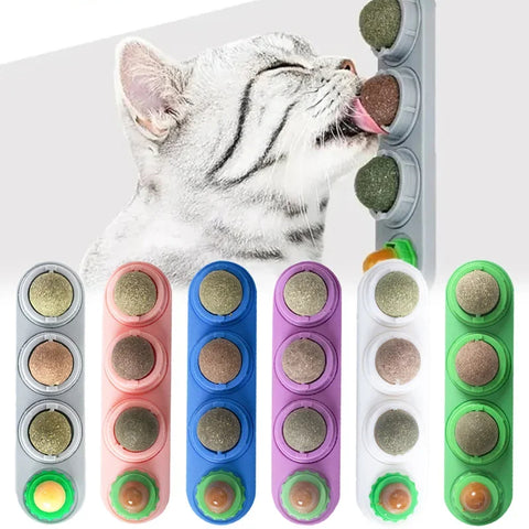 Catnip Corner™ 4-in-1 Catnip & Silver Vine Wall Toy for Cats – photo 1