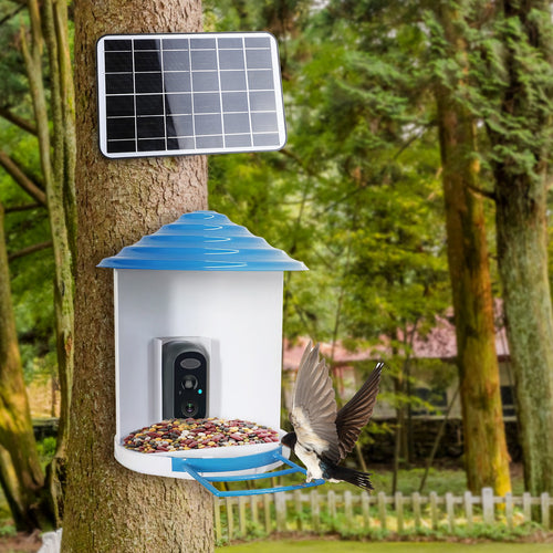 Bird TV™ Smart Solar Bird Feeder with 1080P HD Camera – photo 6