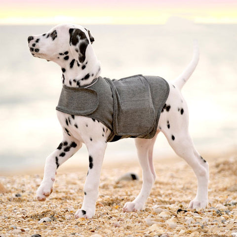 Sweater Weather™ Cozy Knit Dog Vest – photo 1