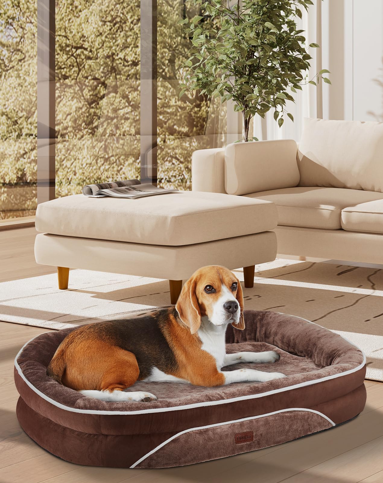 Aero-Nap™ Ortho | Orthopedic Dog Bed & Couch for Large Dogs