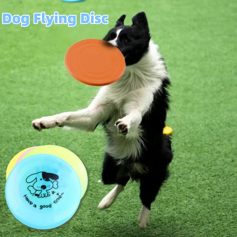 Sky Catch™ Silicone Flying Disc Toy – main photo